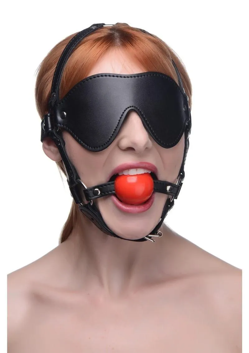 Adjustable Blindfold Harness with Comfortable Ball Gag for Enhanced Sensory Experience