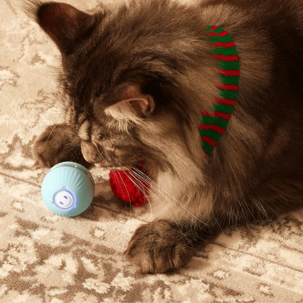 Curatepet Interactive Smart Cat Ball