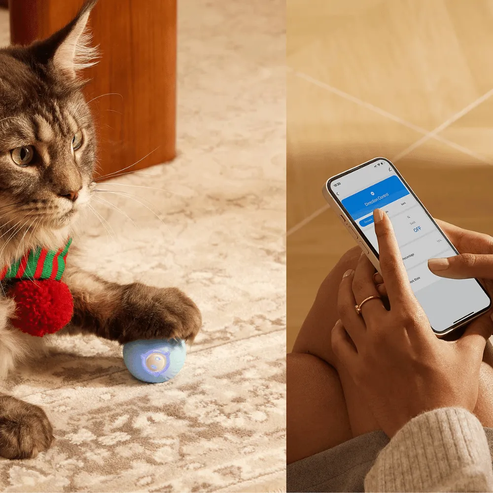 Curatepet Interactive Smart Cat Ball