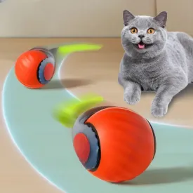 Forever Run Motion Cat Play Ball Toy