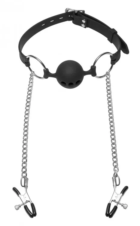 Hinder Ball Gag with Nipple Clamps