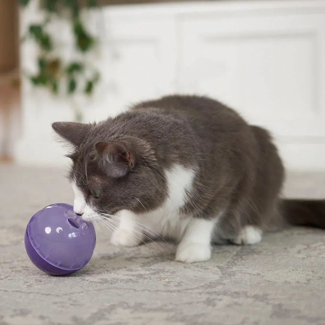 Kazoo Kitty Treat Ball Cat Toy