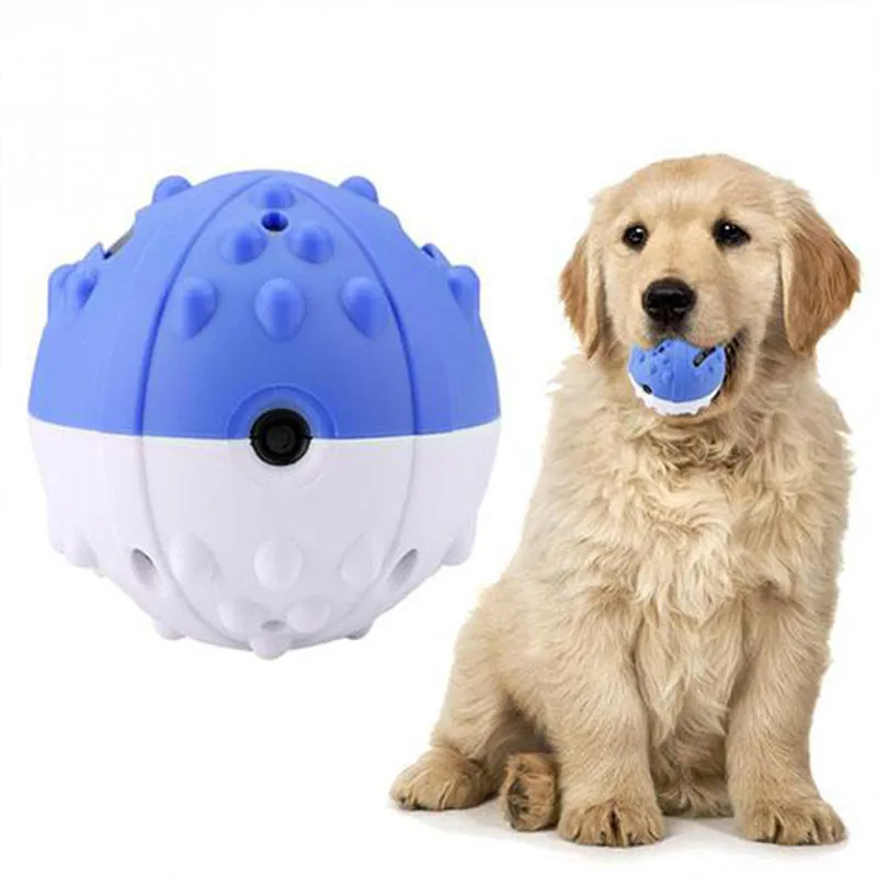 Pawsindia Interactive Butter Ball Toy for Dog