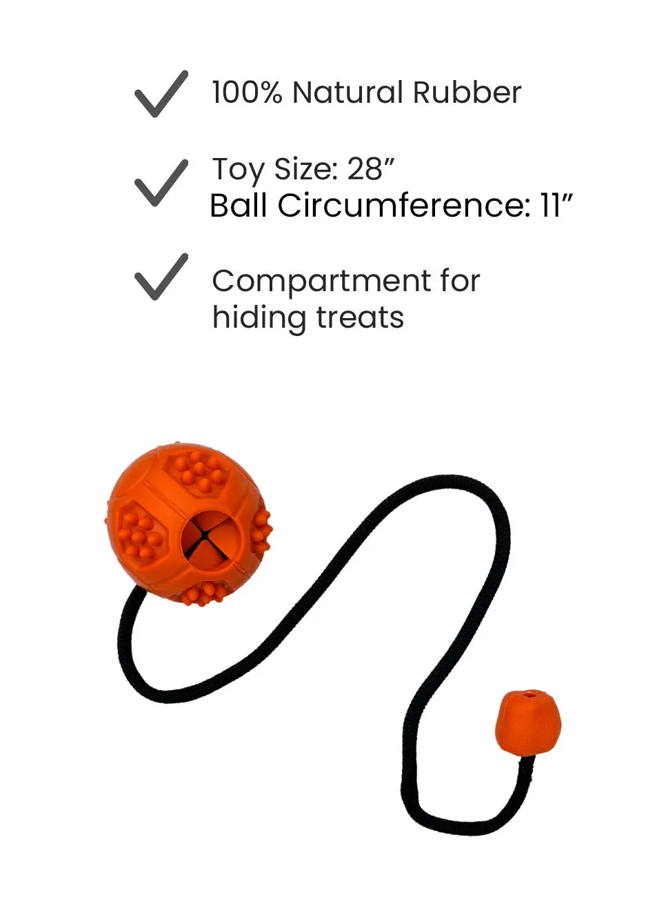 Toss-able Ball with Rope DogsToy