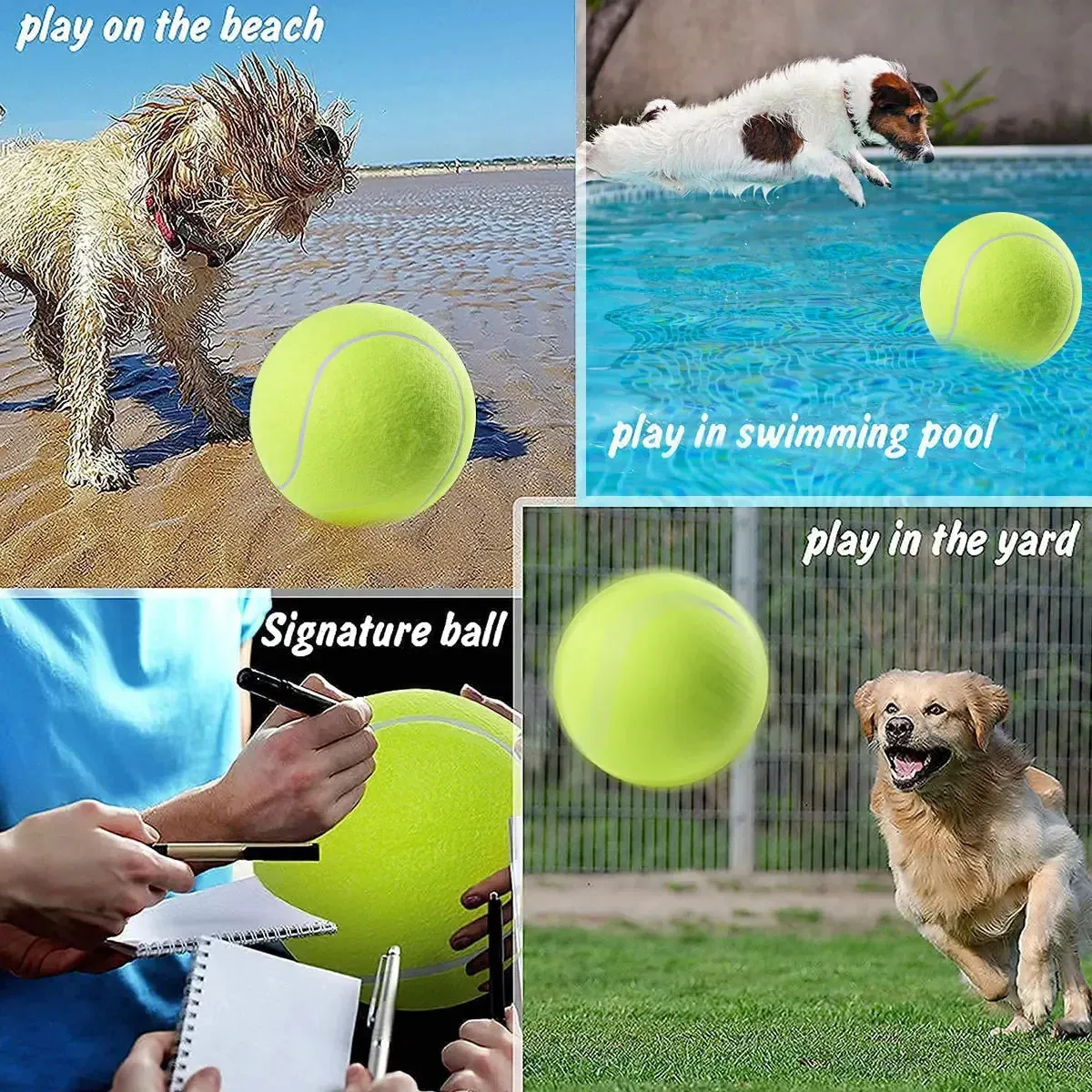 Trendy Tennis Ball Interactive Toy Play